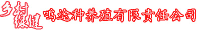 乡村绿健,乡健,辽宁土鸡,辽宁土鸡蛋,辽宁乌鸡蛋,东北土鸡蛋,东北乌鸡蛋-鸣途种养殖有限责任公司